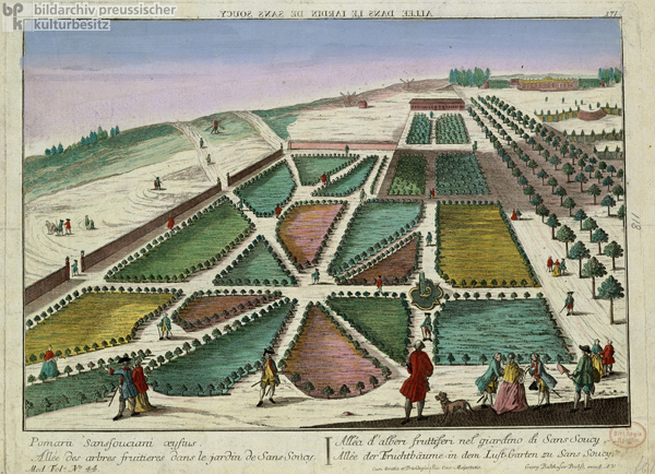 Avenue of Fruit Trees in the Pleasure Garden at Sanssouci (after 1745)